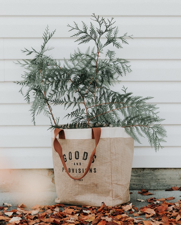 Afflatus Group - Accessories